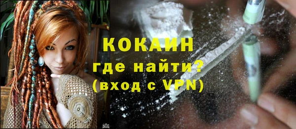 спайс Каменка