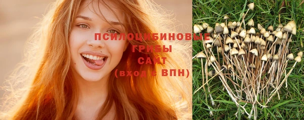 Альфа ПВП Инсар