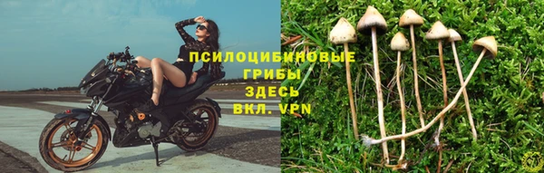 спайс Каменка