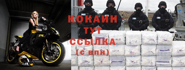 спайс Каменка