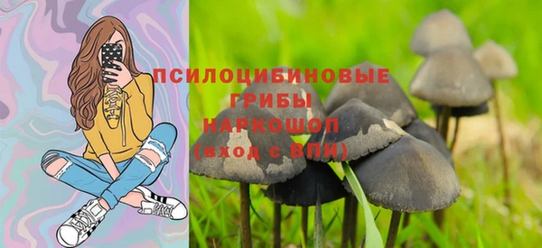 спайс Каменка