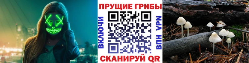 Псилоцибиновые грибы мухоморы  Купить закладки  Новый Уренгой 